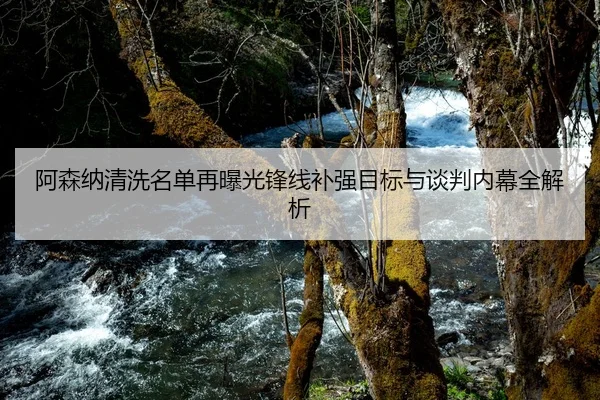 阿森纳清洗名单再曝光锋线补强目标与谈判内幕全解析